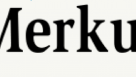 Bericht Merkur.de